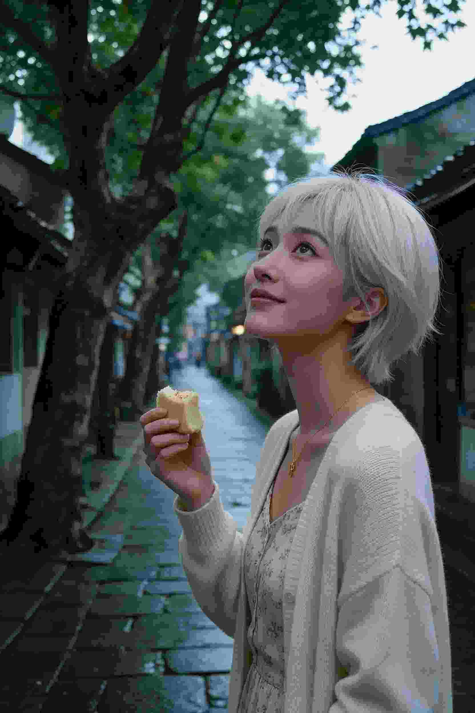 国漫1